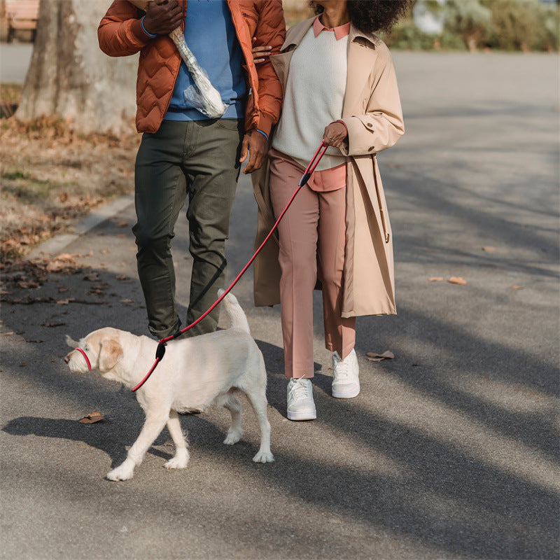 ComfortGrip Woven Nylon Dog Leash - Pet Nova